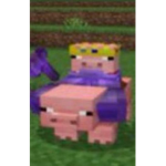 the sussy club E
