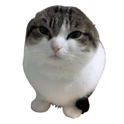 wawa cat Roblox decal
