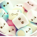 Marshmallow Wonderland