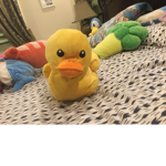 Ducks play group