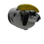 Banana Bunny