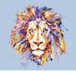 Roarfam league