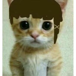 khaleeq is god