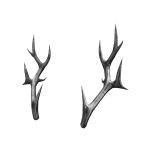 [ ⚡️ ] Antique Silver Antlers [ v2, pbr ]