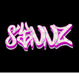 synnz homestore v2