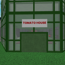 TOMATO HOUSE
