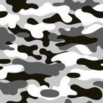 Arctic Army (Millitary)