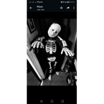 The Official Group Of XchellX