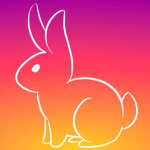 Sunbunny Studio