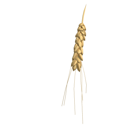 Western Wheat