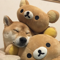 υ´• ﻌ •`υ