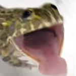 PISI