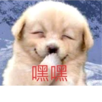 烈日火鍋糰