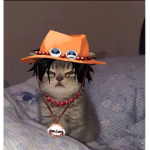 Caty hat boy one piece