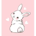 x Bunny’s Closet x