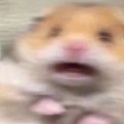 ﹒⪩⪨﹒