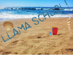 Llama School!