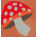 I looooove MUSHROOMS