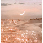 SunfIowerss