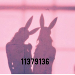 avie aesthetics
