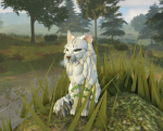 FoxyTheTherian