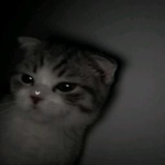 ?.? Emo
