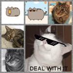 #MEW MEW SQUAD