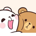 #TheBearNation