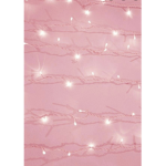 AestheticDonates