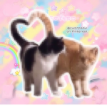 ~kitty~ <3