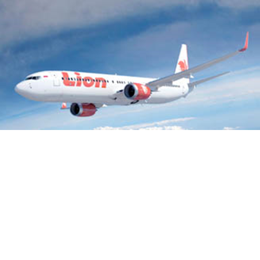 airplane simulator x!