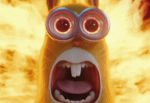 worship me because me cool