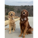 Levi And Lola