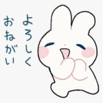 Bunny’s Offical Group