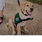 Guide Dog Support
