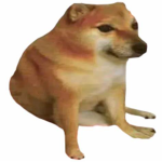 sly doge best