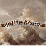 -coffee beans-
