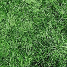 Touch Grass Simulator