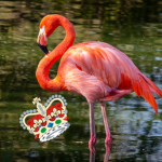 Our God is flamingo