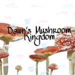 Dawn's Mushroom Kingdom