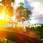 ʚzoe's emporiumɞ