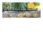 Popeye's Chicken House