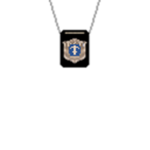NA | Polizia Giudiziaria