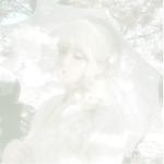 ･ﾟkitties ୨ৎ