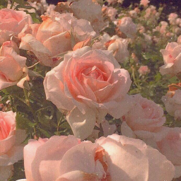 💕