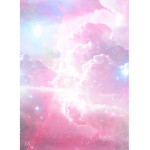 Blossomyz animatorz