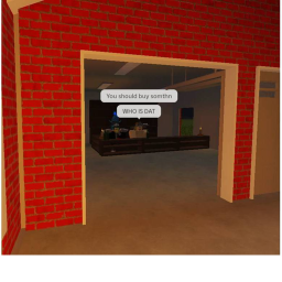 The Neigborhood