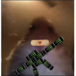 TigerRxses_Fan Club
