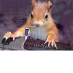 Squirrel group forever