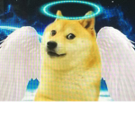 Doge Elementary